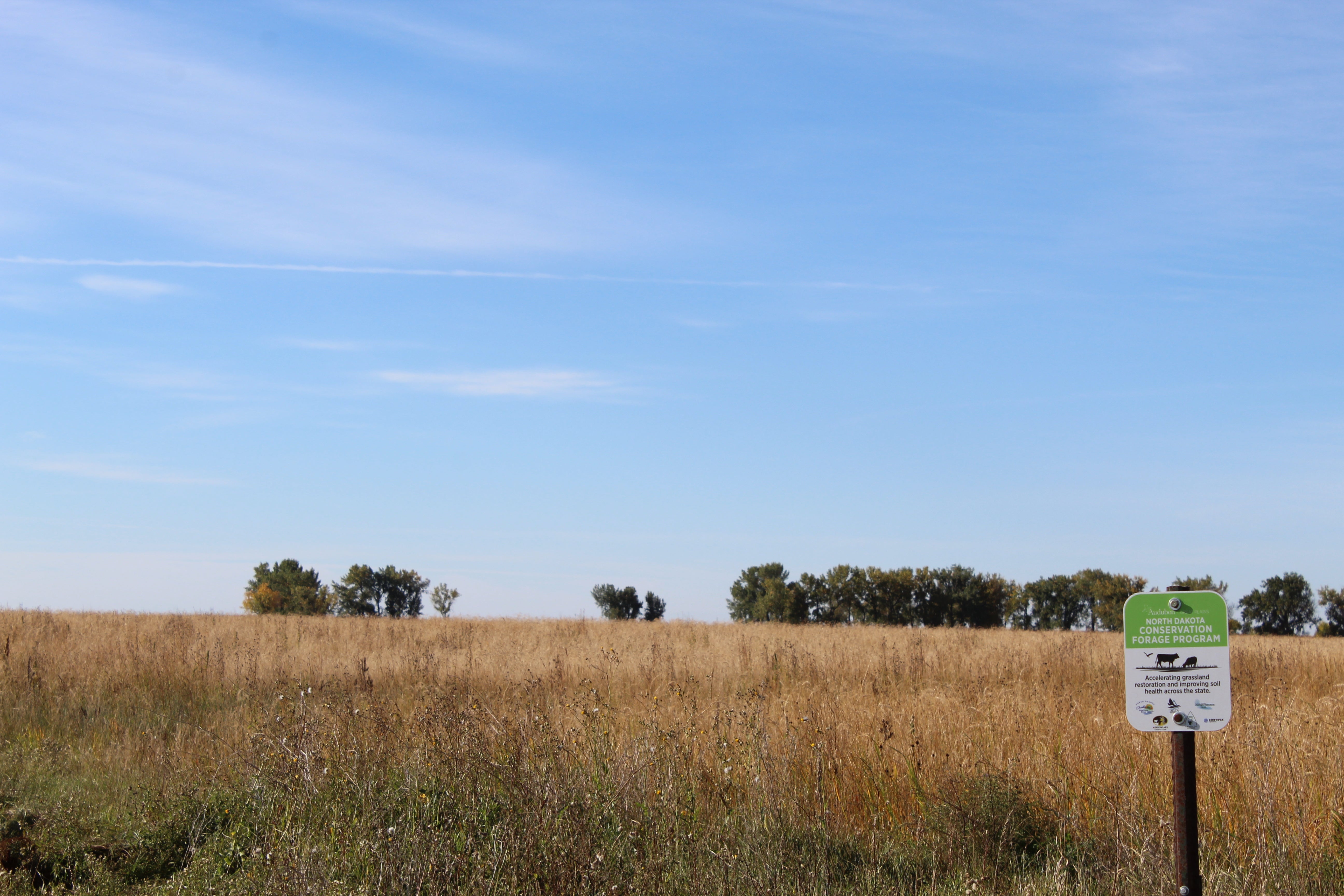 Sign in grassland field with blue skies